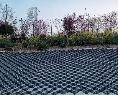 Il ruolo della geogriglia