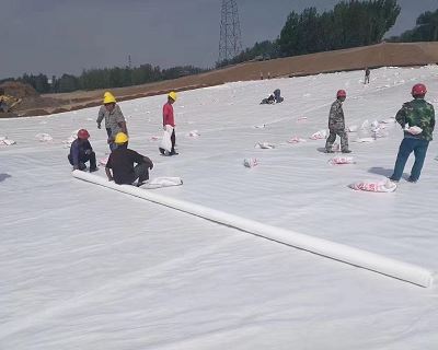A quali problemi prestare attenzione quando vengono arrotolate le geogriglie ...